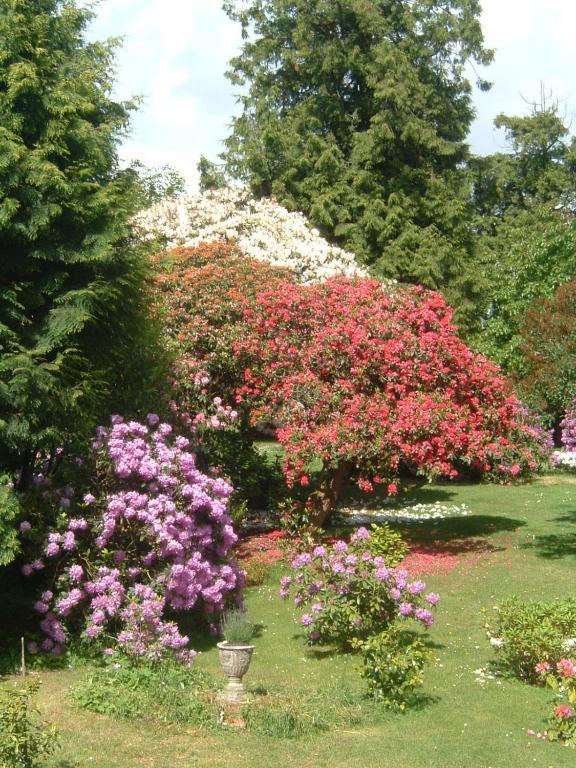 Bed and Breakfast Bruce Castle Brix Exterior foto